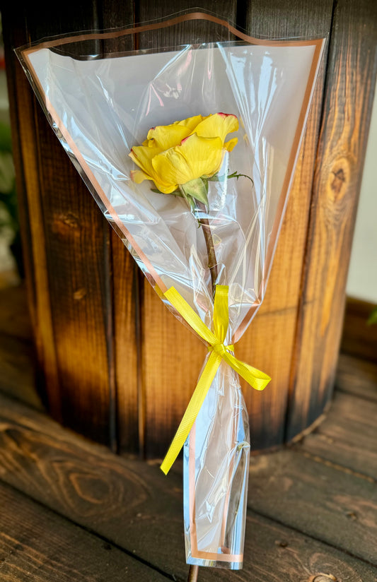 Single rose